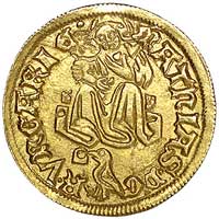 goldgulden (po roku 1470), Nagy Banya, Aw: Madonna z Dzieciątkiem i napis MATHIAS D G R VNGARIE, w..