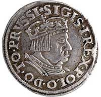 trojak 1536, Gdańsk, odmiana napisu PRVSSI, Kurp. 500 R1, Gum. 569