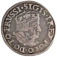 trojak 1536, Gdańsk, odmiana napisu PRVSSI, Kurp. 500 R1, Gum. 569, patyna