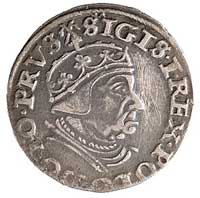 trojak 1540, Gdańsk, odmiana napisu PRVS i krzyżyk na królewskiej koronie, Kurp. 524 R1 Gum. 573, ..