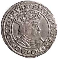 grosz 1528, Toruń, , Kurp. 260 R, Gum. 525, ładna i rzadka moneta