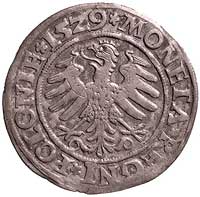 grosz 1529, Kraków, Kurp. 49 R, Gum. 484, drugi 