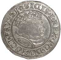 grosz 1532, Toruń, Kurp. 310 R, Gum. 528