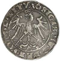 grosz 1536, Wilno, odmiana z literą M pod Pogonią, awers Kurp. 222, rewers nieopisany w katalogu K..
