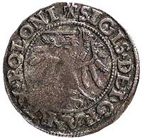 szeląg 1538, Gdańsk, odmiana- korona z pięcioma płatkami, Kurp. 421 R, Gum. 551, ciemna patyna