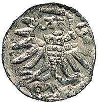 denar 1555, Elbląg, Kurp. 989 R3, Gum. 654, T 7, ładnie zachowany egzemplarz
