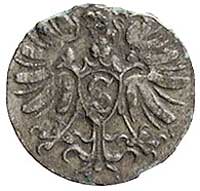 denar 1571, Królewiec, odmiana z rozetą pomiędzy