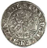 Joachim II 1535-1571, grosz 1542, Stendal, Bahr. 338, Neumann 6.11.b, patyna