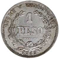 1 peso 1893, K.M. 17 a