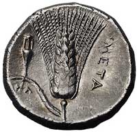 LUKANIA-Metapont, stater 330-300 pne, Aw: Głowa 