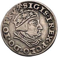 trojak 1539, Gdańsk, odmiana z napisem PRV i w koronie z krzyżykiem, Kurp. 516 R1, Gum. 572