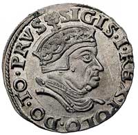 trojak 1546, Gdańsk, Kurp. 525 R3, Gum. 573, T. 8, rzadka i pięknie zachowana moneta
