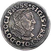 trojak 1534, Toruń, odmiana z popiersiem króla w