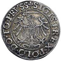 grosz 1539, Elbląg, odmiana- rozeta rozdziela napis na rewersie, Kurp. 606 R1, Gum. 583, patyna