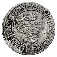 grosz 1556, Gdańsk, odmiana z dużą głową króla, Kurp. 945 R3, Gum. 642, T. 4, rzadki