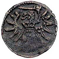 denar 1556, Elbląg, Kurp. 990 R3, Gum. 654, T. 7