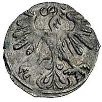 denar 1559, Wilno, Kurp. 646 R3, Gum. 592