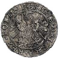szeląg 1573, Gdańsk, Kurp. 1002 R5, Gum. 657, T. 18, moneta w słabym stanie zachowania ale bardzo ..