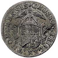 trojak 1765, Toruń, Plage 513, drobna wada blachy, rzadka i ładnie zachowana moneta, patyna