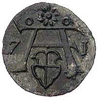 denar 1571, Królewiec, typ młodszy z różą o 9 pł
