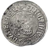 grosz legnicki (1505-1511), odmiana z tarczą herbową, Fbg. 186 (597a), rzadki