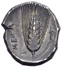 Lukania-Metapont, stater 330-300 pne, Aw: Głowa Demeter w prawo, Rw: Kłos zboża, z prawej Nike, na..