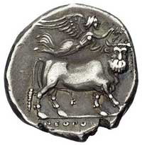 Kampania-Neapol, stater 340-241 pne, Aw: Głowa n