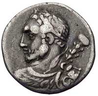 Ti. Quincitius 112-111 pne, denar, Aw: Popiersie Herkulesa widziane od tyłu z głową zwróconą w lew..
