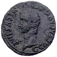 Kaligula 37-41 Caesaraugusta-kolonia w Hiszpanii, as, Aw: Głowa cesarza w lewo i napis C CAESAR  A..