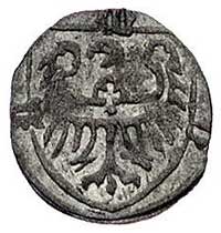 księstwo oleśnickie Konrad VIII ok.1416-1444/7, halerz Oleśnicy, Aw: Orzeł św. Jana kroczący w lew..