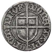 Jan von Tiefen 1489-1497, grosz, Aw: Tarcza wielkiego mistrza i napis MAGST IOHNS DE TIFENI, Rw: T..