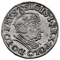 trojak 1539, Gdańsk, korona królewska z krzyżykiem, Kurp. 518 (R1), Gum. 572