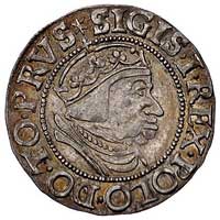 grosz 1537, Gdańsk, korona królewska z krzyżykiem i napis PRVS, Kurp. 473 (R), Gum. 563, patyna