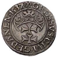 grosz 1537, Gdańsk, korona królewska bez krzyżyka i napis PRVSS, Kurp. 474 (R), Gum. 563, patyna