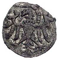 denar 1549, Gdańsk, Kurp. 920 (R2), Gum. 640, T. 8, rzadki