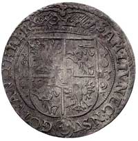 ort 1623, Bydgoszcz, ciekawy ornament po bokach tarczy herbowej, Kurp. 1517, Gum. 1177