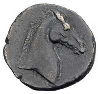 ZEUGITANA, 250-200 pne, AE-18, Aw: Głowa Tanit w wieńcu w lewo, Rw: Głowa konia w prawo, Szaivert-..