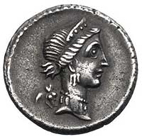 Juliusz Cezar 47- 44 pne, denar bity w Hiszpanii w latach 46-45 pne, Aw: Popiersie Venus z Kupidyn..