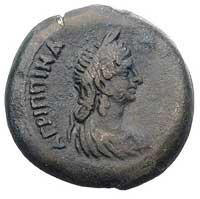EGIPT- Aleksandria, Agrypina Młodsza żona cesarza Klaudiusza, AE-25 51/52 r., Aw: Popiersie Agrypi..