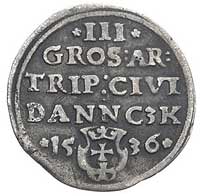 trojak 1536, Gdańsk, Kurp. 500 (R1), Gum. 569, patyna