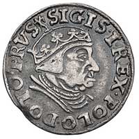 trojak 1538, Gdańsk, odmiana napisu PRVS i koron
