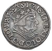trojak 1538, Gdańsk, odmiana napisu PRVSS i korona bez krzyża, Kurp. 514 (R1), Gum. 571, patyna