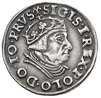 trojak 1539, Gdańsk, odmiana napisu PRVS, korona z krzyżem, Kurp. 518 (R1), ale drobne różnice w i..