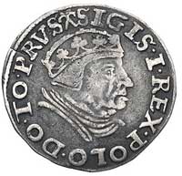 trojak 1539, Gdańsk, odmiana napisu PRVS, korona bez krzyża, Kurp. 518 (R1), Gum. 572, wada krążka..