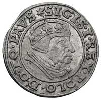 grosz 1539, Gdańsk, Kurp. 482 (R), ale nieco inna interpunkcja, Gum. 565