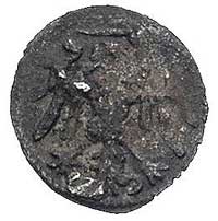 denar bez daty, Elbląg, Kurp. 551 (R3), Gum. 579