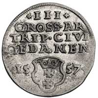 trojak 1557, Gdańsk, odmiana z małą głową króla, Kurp. 958 (R2), Gum. 646, T. 3, rzadki