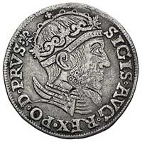 trojak 1557, Gdańsk, odmiana z małą głową króla,