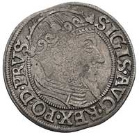grosz 1557, Gdańsk, typ późniejszy z dużą głową króla, Kurp. 949 (R3), Gum. 644, T. 4, rzadki