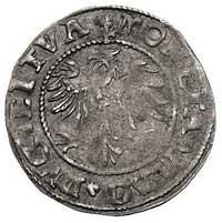 półgrosz 1545, Wilno, odmiana z imieniem króla p